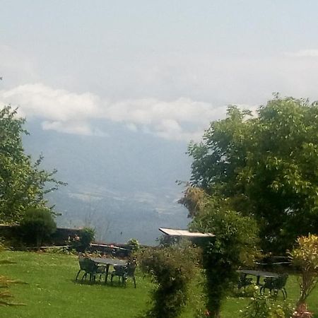 Vamoose Eco Lodge Chevron Kausani Exteriér fotografie